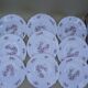 Lot of 9 dessert plates Arcopal France