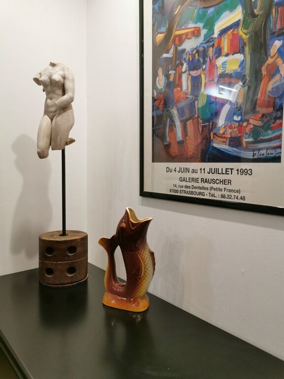 Pitcher fish Saint Clement