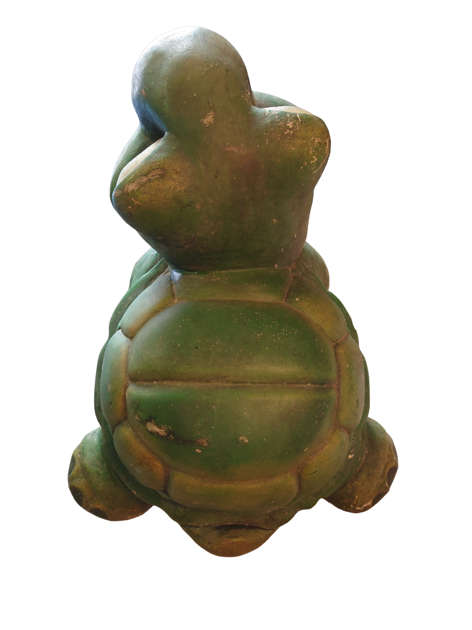 Green turtle in concrete