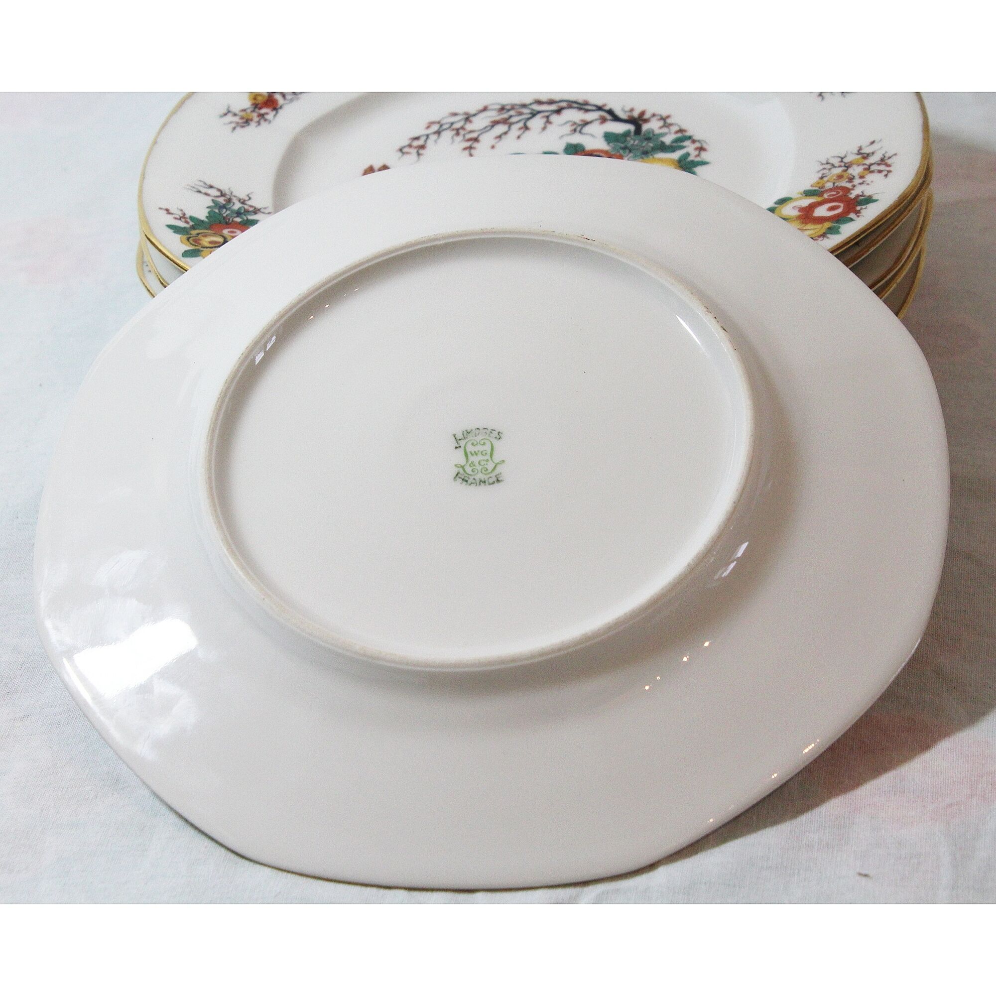 Lot of 6 porcelain dessert plates from Limoges WG and Co.