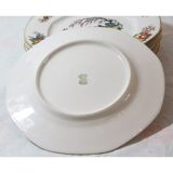 Lot of 6 porcelain dessert plates from Limoges WG and Co.