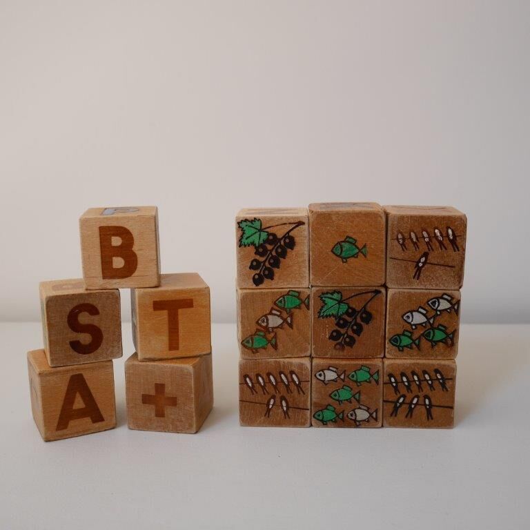 Set of 14 old wooden cubes