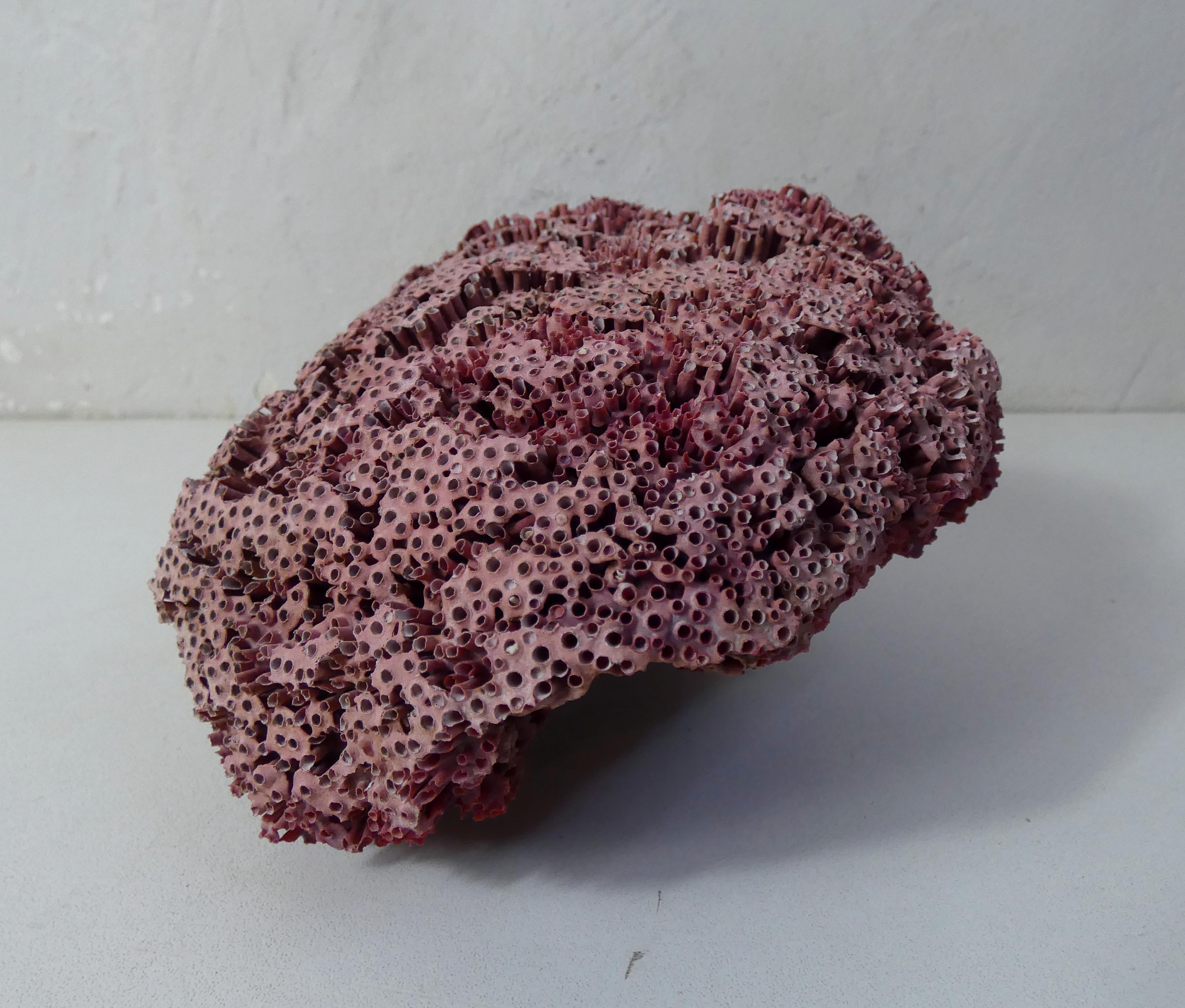 Ancien morceau de corail rose naturel 392g