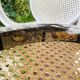 Ancienne paire de chaises italienne Salvatore Leone