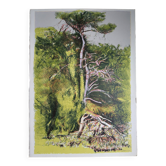 Giancarlo Cazzaniga - 1997 – Sérigraphie & eau-forte – 70×50 cm