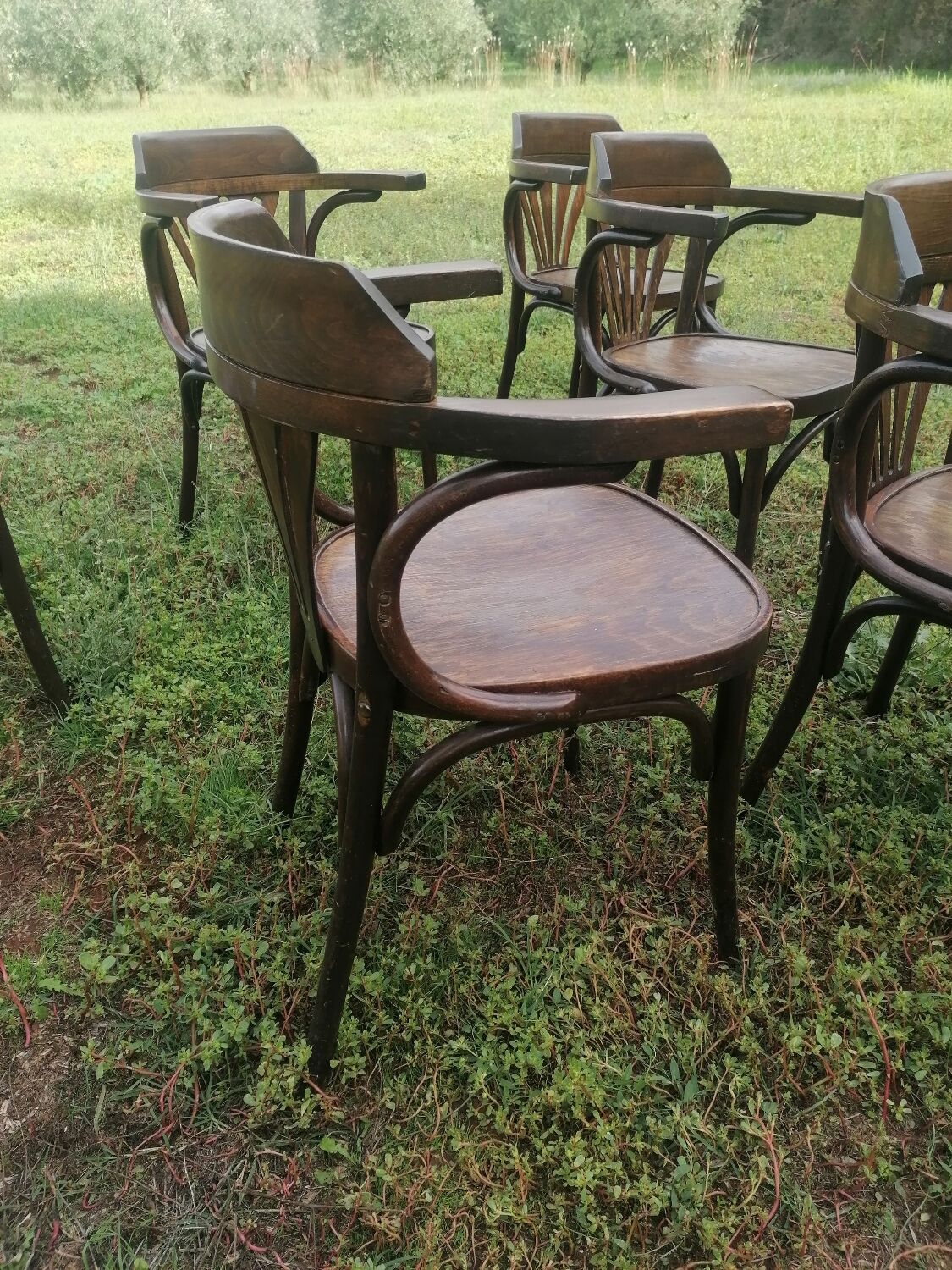 Set of 30 vintage bistro armchairs