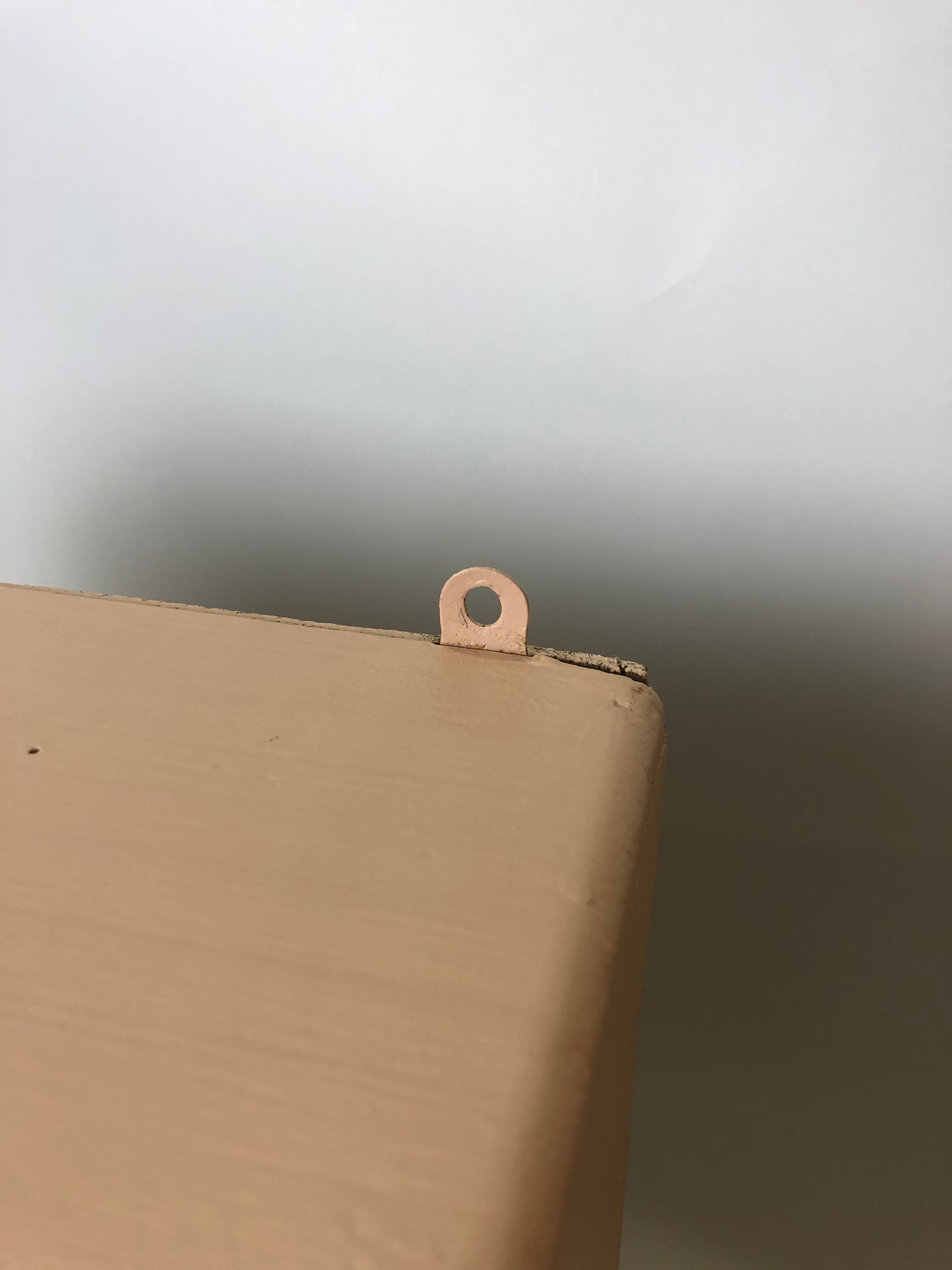 Rose pharmacy wardrobe