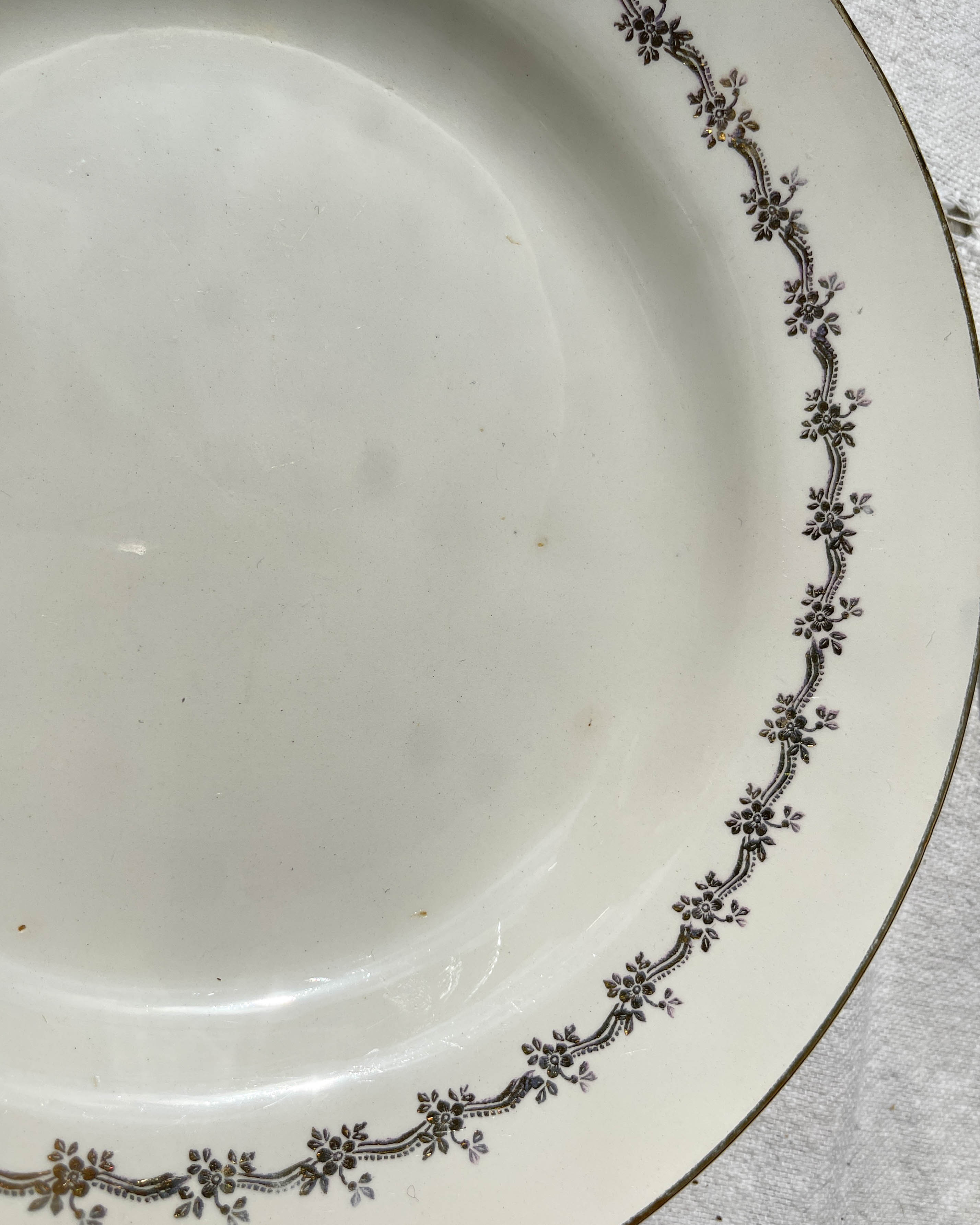 6 opaque porcelain dinner plates, Digoin model "Suzy"