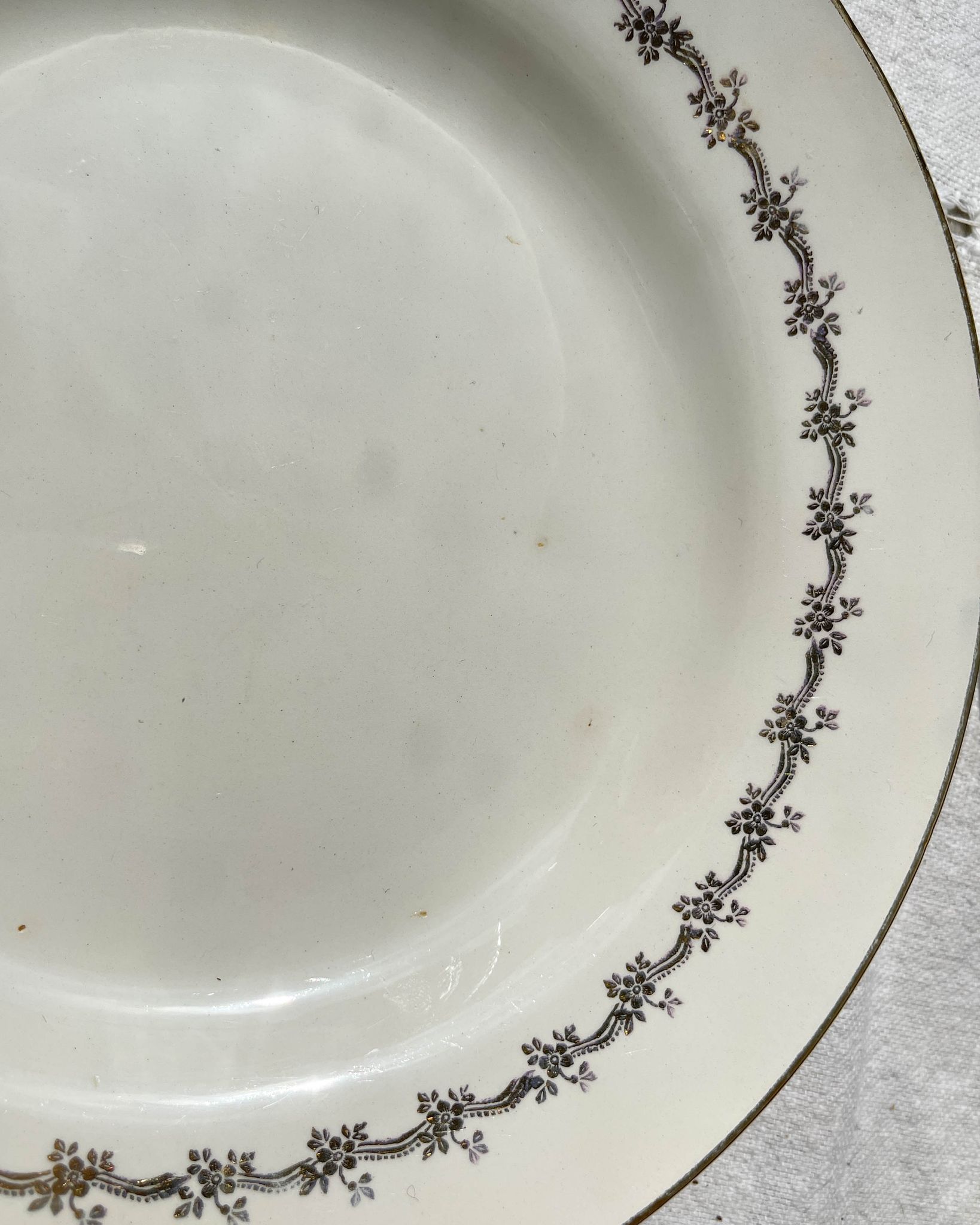 6 opaque porcelain dinner plates, Digoin model "Suzy"