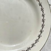6 opaque porcelain dinner plates, Digoin model "Suzy"