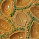 6 vintage majolica oyster plates, Arfilox, 1970