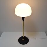 Vintage floor lamp designed by jaroslav bejvl for lidokov,1960's.