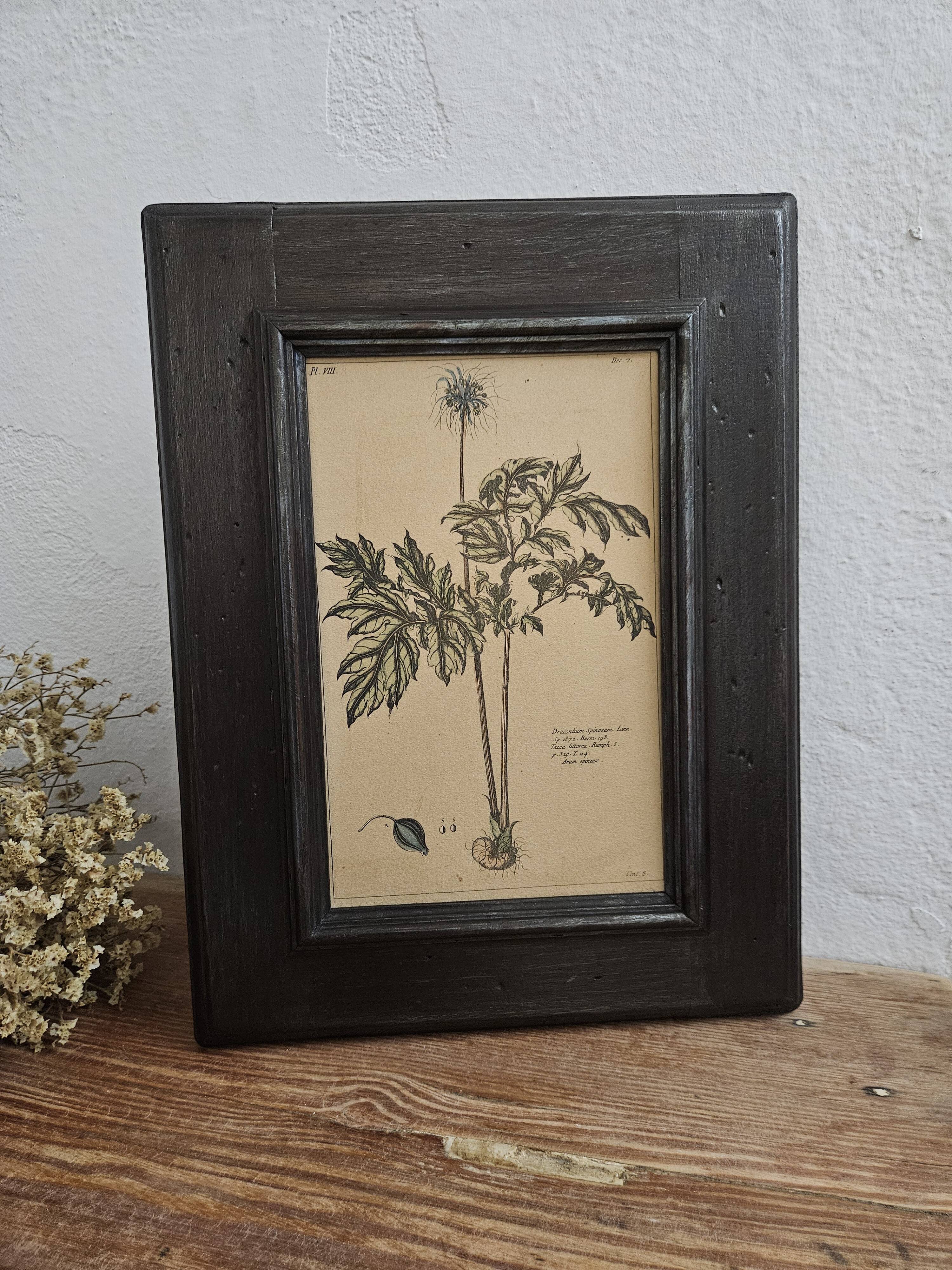 Framed botanical board frame