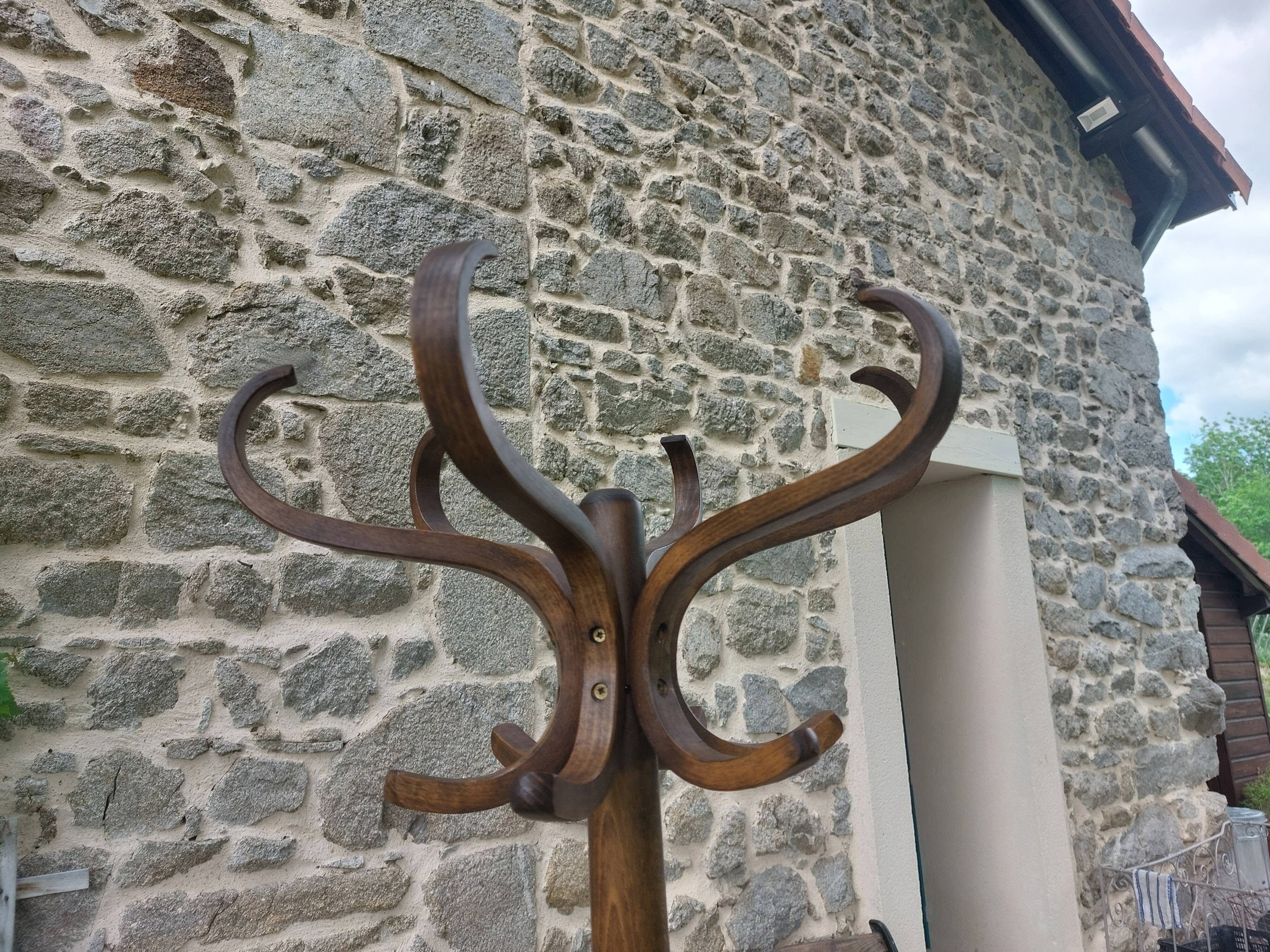 coat rack parrot solid wood, Baumann style