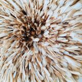 Juju Hat beige 80 cm