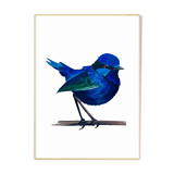 The blue bird A4