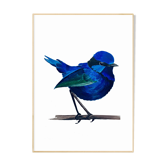 L'oiseau bleu A4