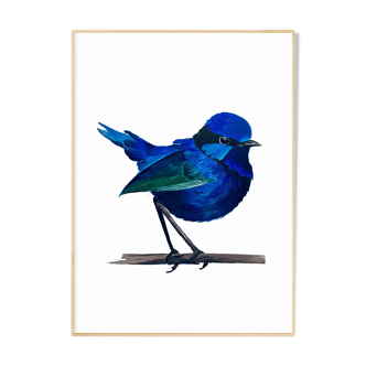 The blue bird A4