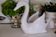 Swan pot cover "Faïence d'Art"