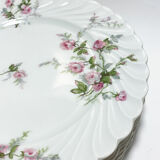 6 dessert plates. Haviland Limoges France. Perfect condition