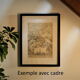 Engraving • Beef, cow, bull, calf • Original lithograph from 1898