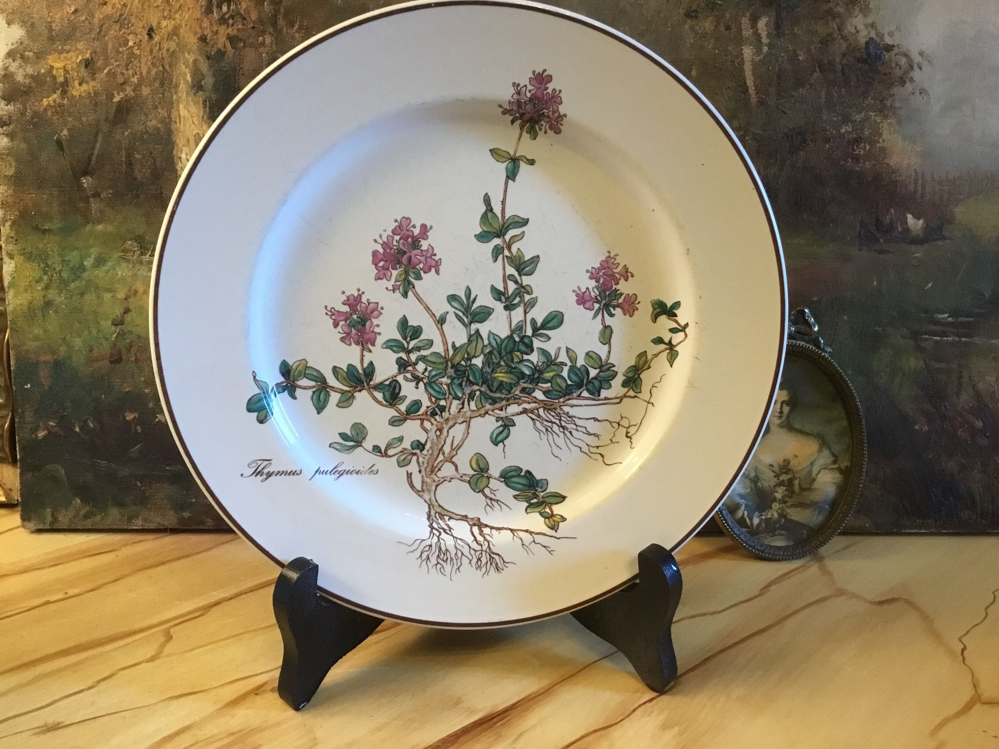 Botanica Villeroy Plates - Boch