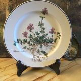 Botanica Villeroy Plates - Boch