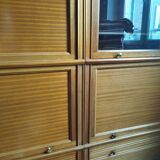 Bookcase bar MD modular furniture