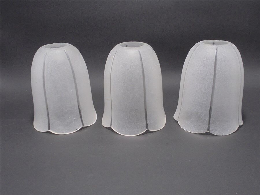 Satin glass tulip