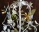 Four-burner vegetable chandelier in painted metal
