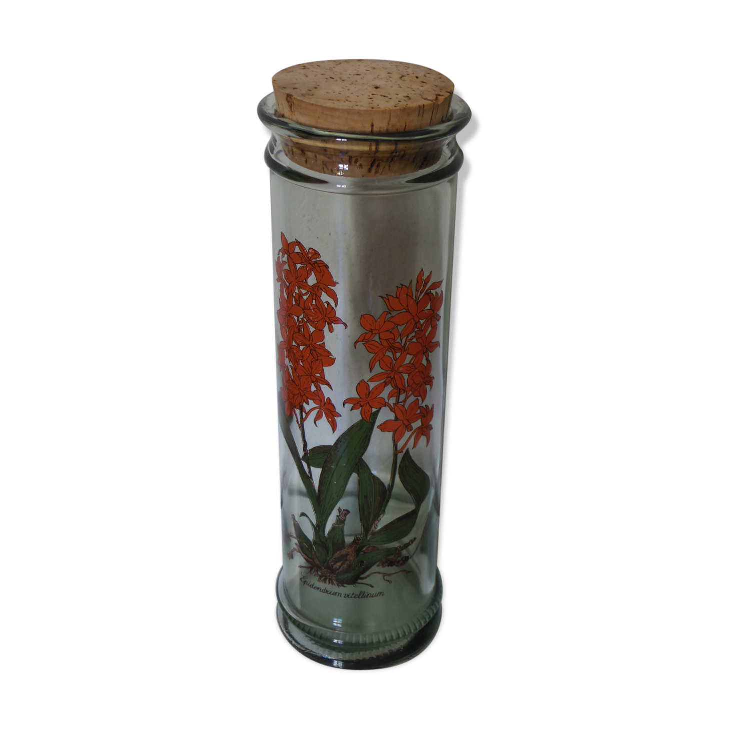 Bocal herboristerie "Epidendrum Vitellinum" en verre décoré et capuchon liège