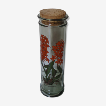 Jar "Epidendrum Vitellinum" herbalism in decorated glass and Cork Cap