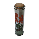 Bocal herboristerie "Epidendrum Vitellinum" en verre décoré et capuchon liège