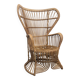 Fauteuil Peaock Rohé Noordwolde