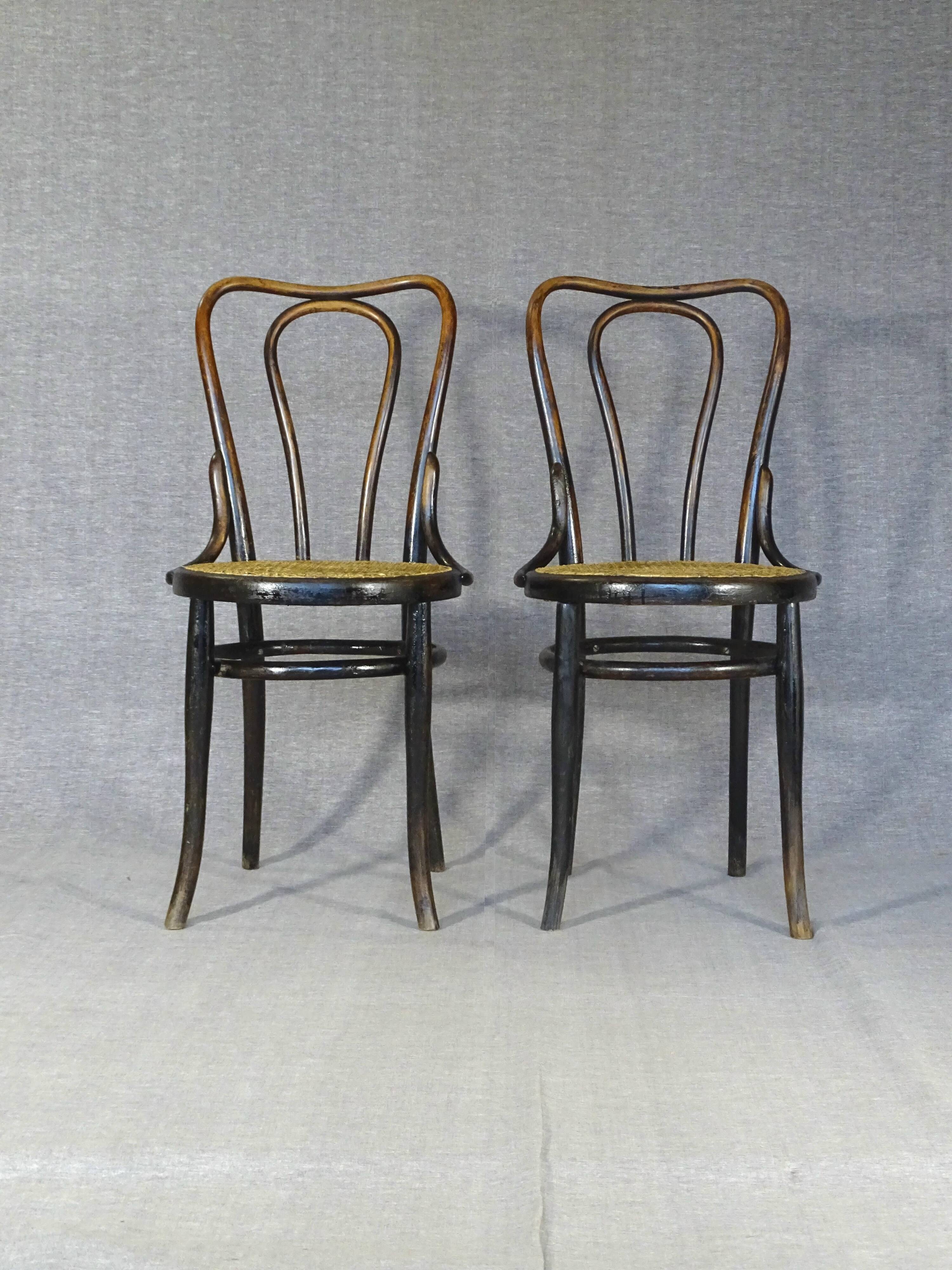 2 Kohn chairs no. 48 by Kohn 1890, not Thonet bistro - caned -