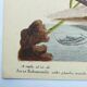 Antique bird engraving - Bahama Duck - Zoological plate by Seligmann & Catesby