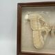 Vintage butterfly frame
