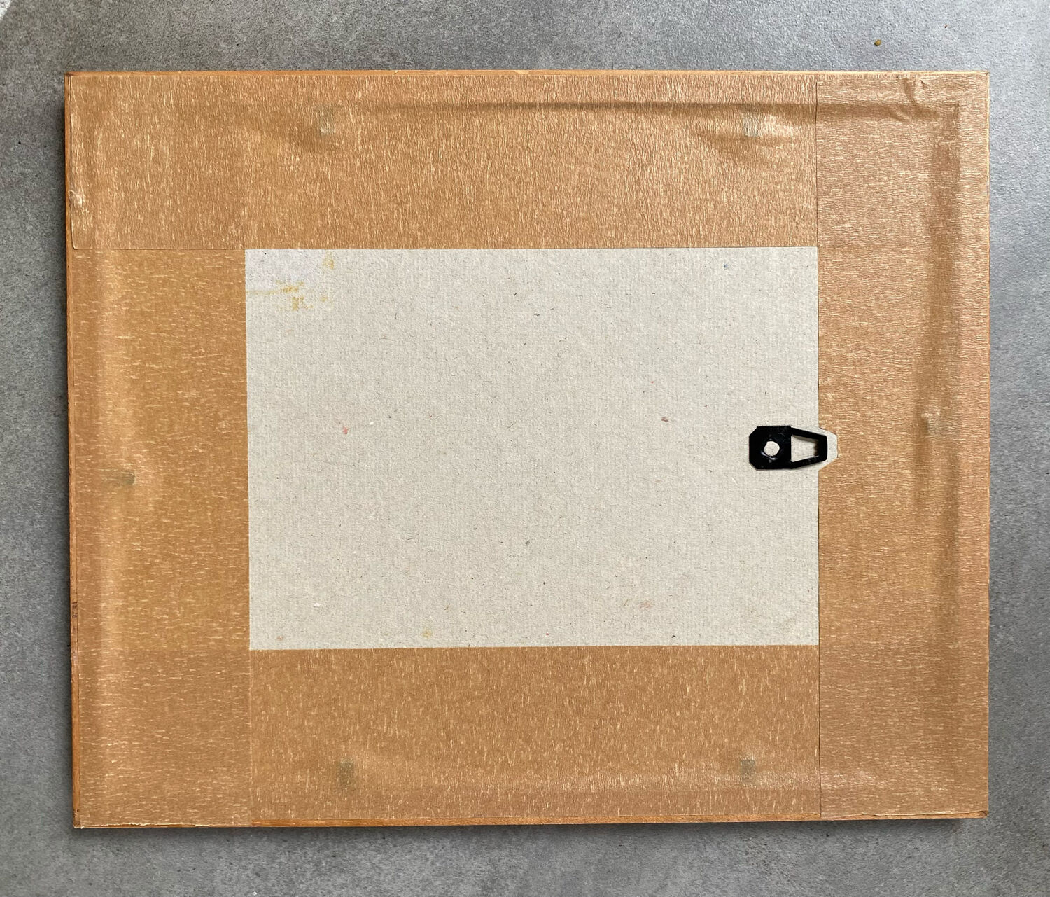 Ornithological plate Hepatior 44