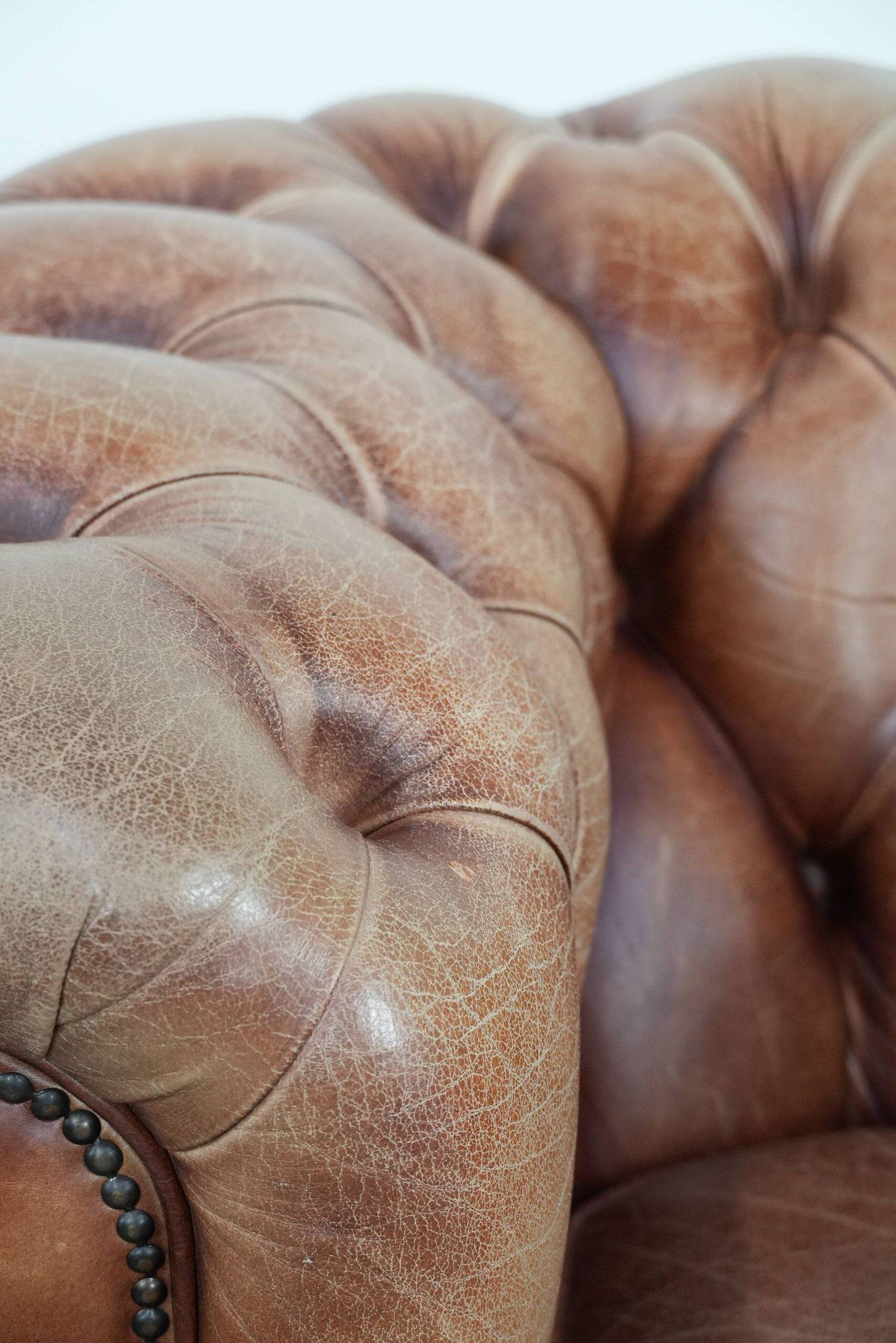 Chesterfield armchair in English style made of cowhide leather