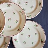 Serving from serving dessert in earthenware
