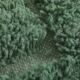 Traditional handwoven Berber rug in green, size 1.5/3.5 m.