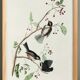 Poster about the Canada Chickadee, based on an old engraving from 1827.