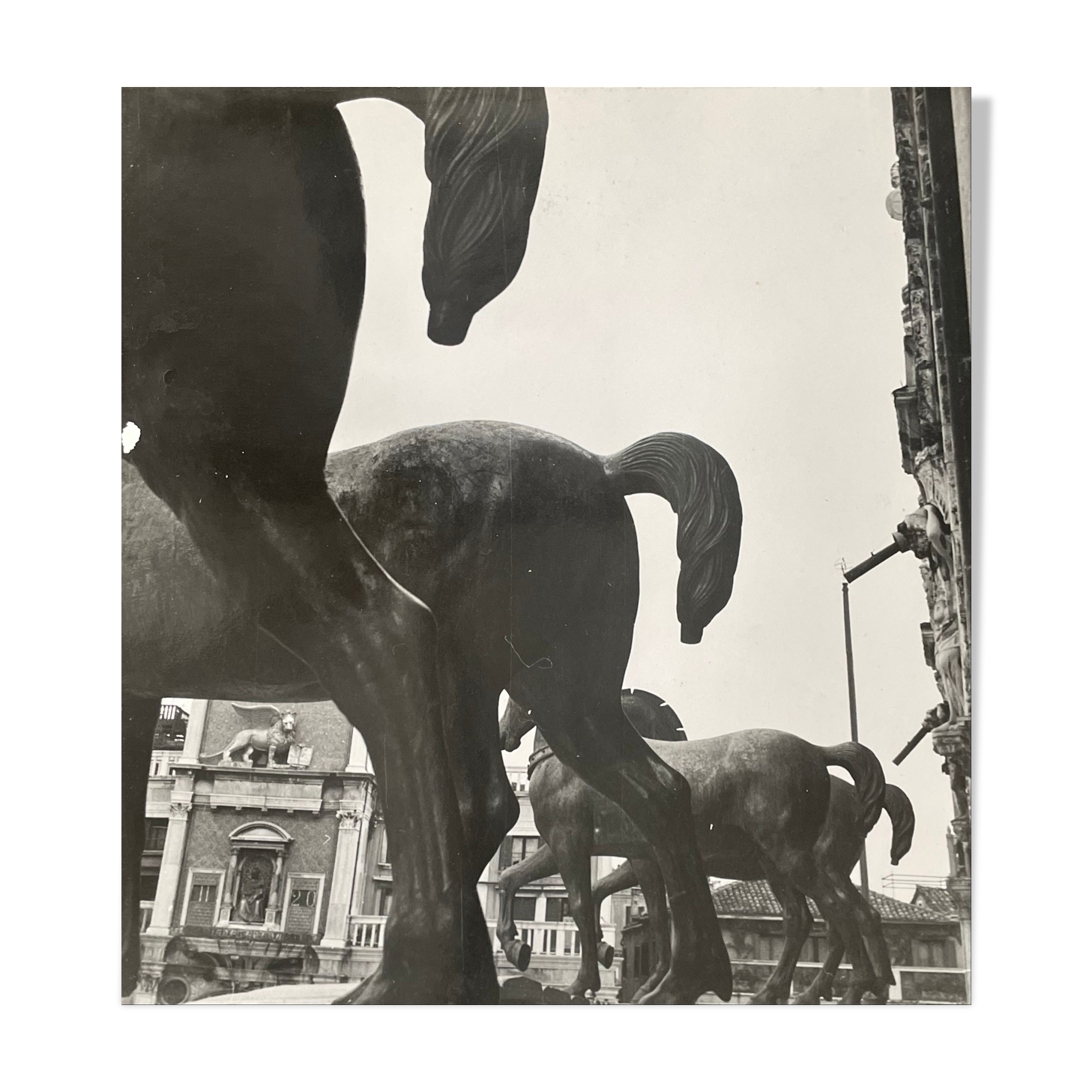 Old black and white silver photography early twentieth century