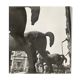 Old black and white silver photography early twentieth century
