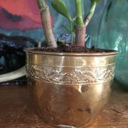 Cache pot en cuivre