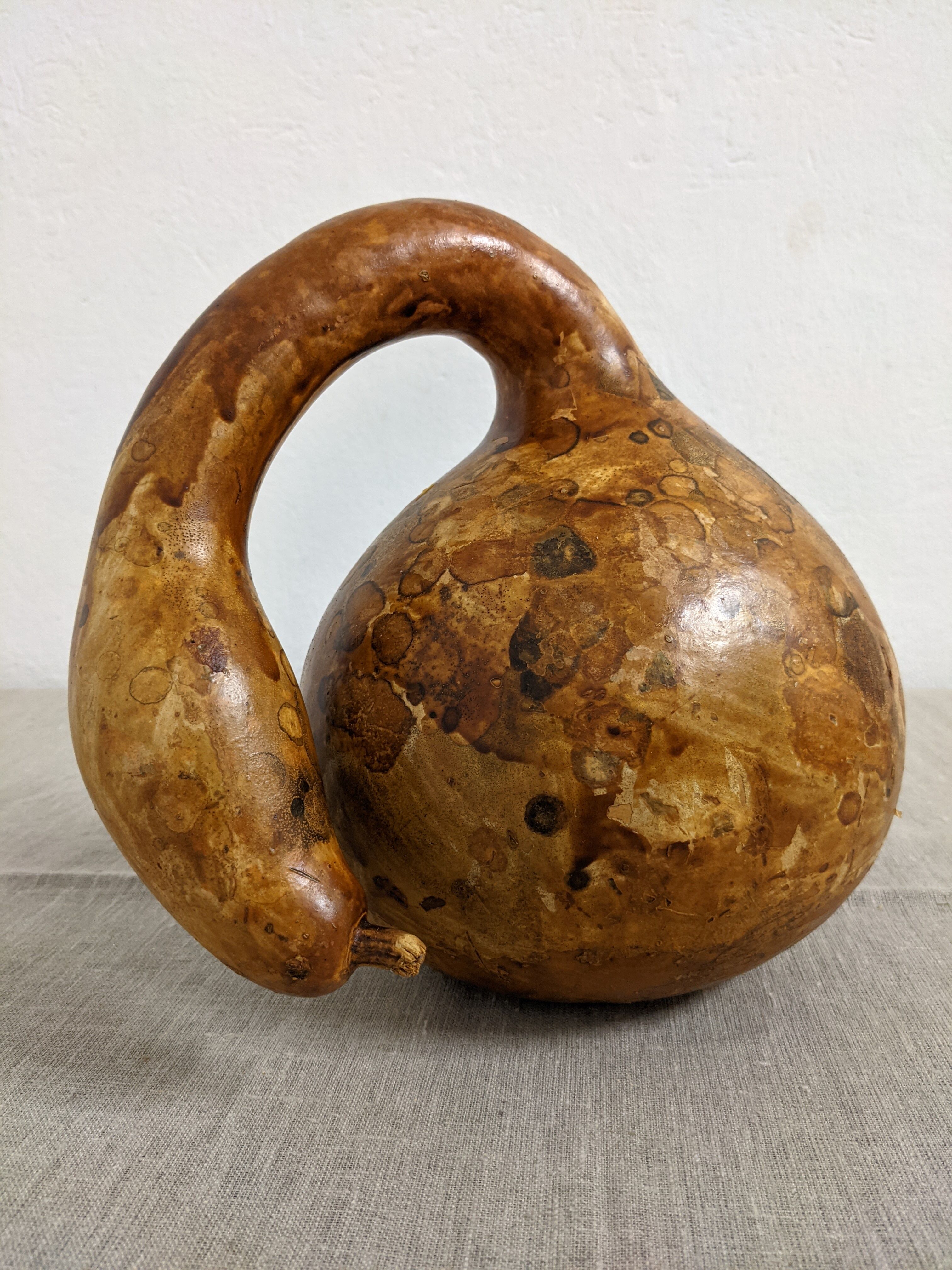 Set of 3 decorative dried coloquintes from the 70s
