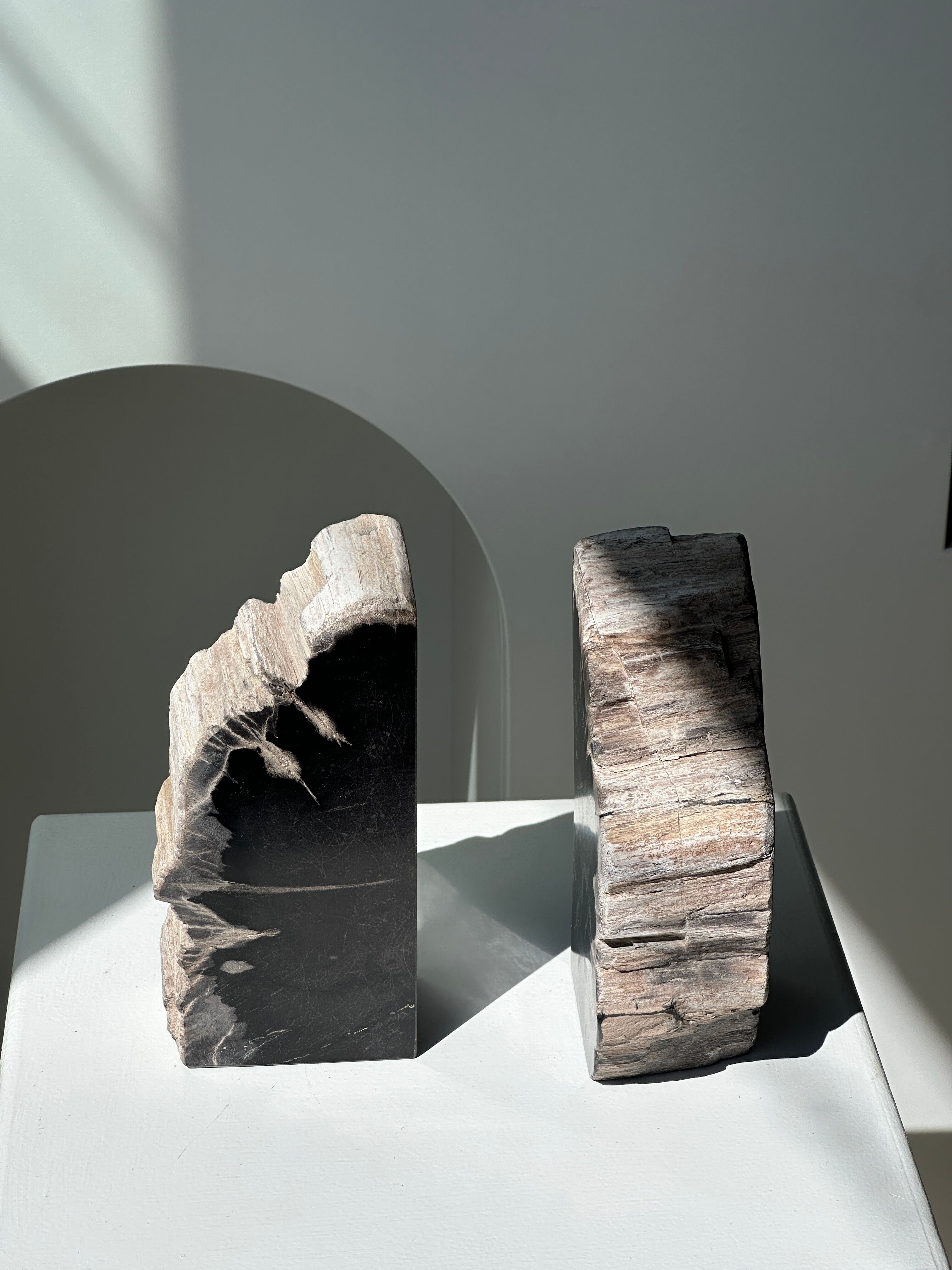 Black petrified wood bookend H17 L17 P6
