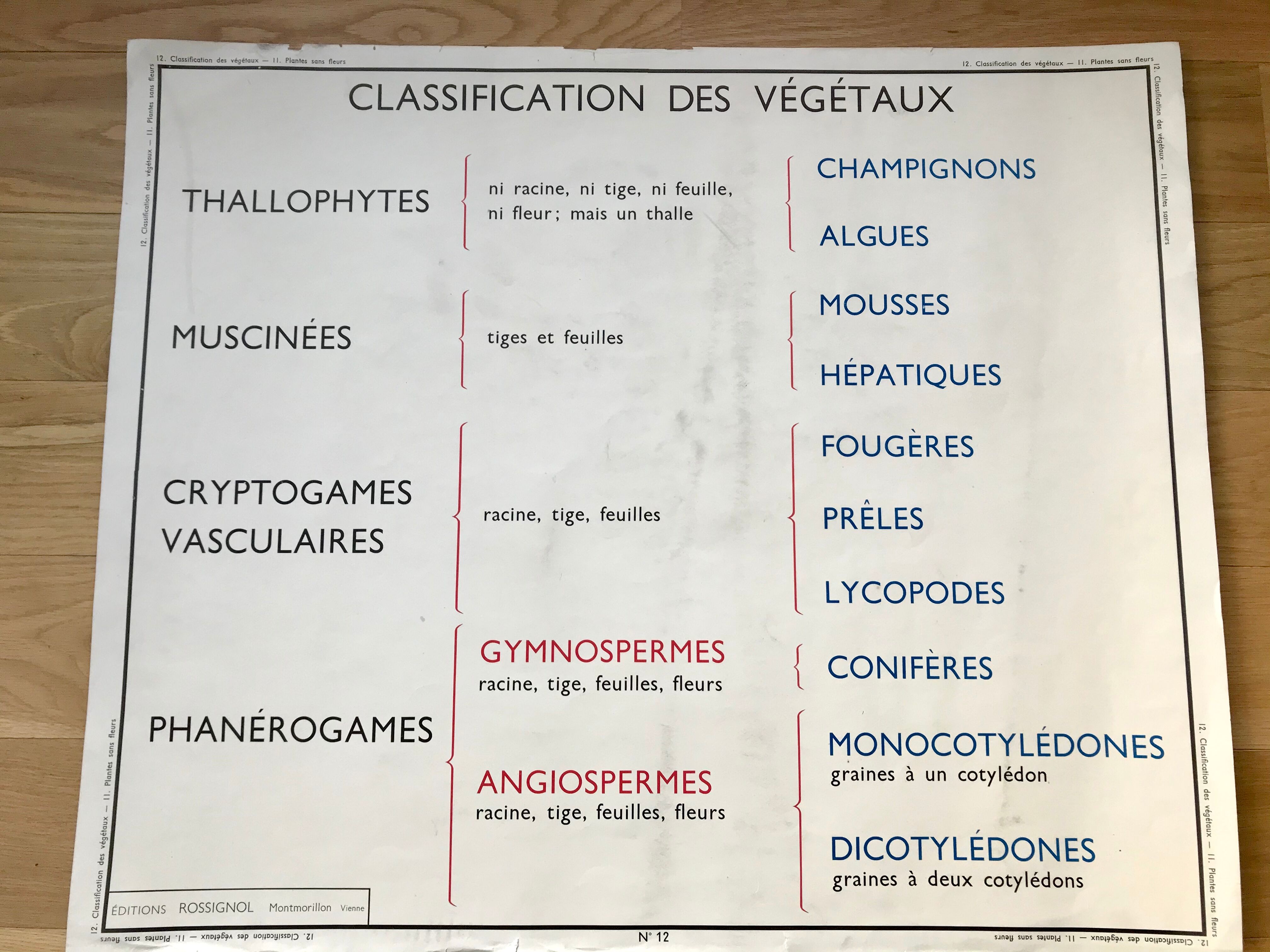 Rossignol pedagogical poster