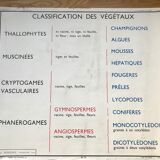 Rossignol pedagogical poster