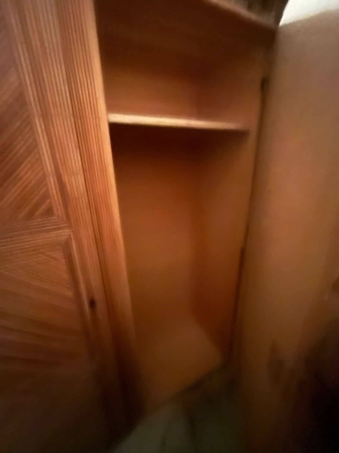 Rattan marquetry wardrobe from the 1950s.